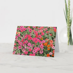 Riotious Pink Card