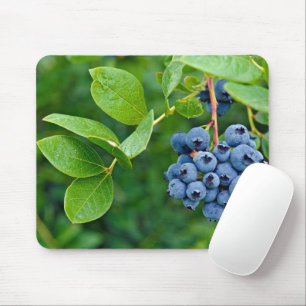 Ripe Blueberries On Bush Mouse Pad