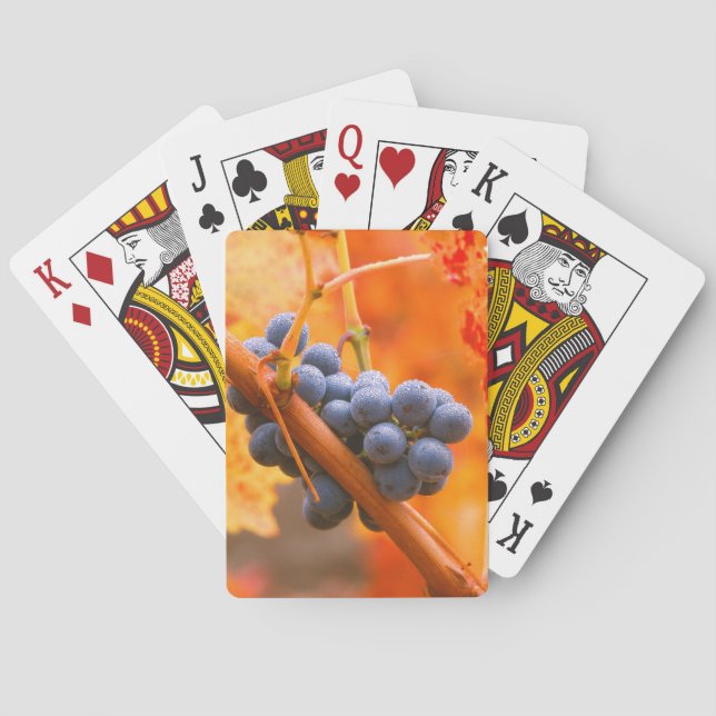 Ripe Grape In Vineyard Playing Cards (Back)