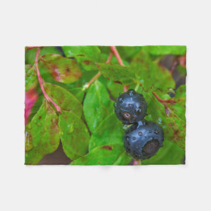 Ripe huckleberries in a light rain fleece blanket