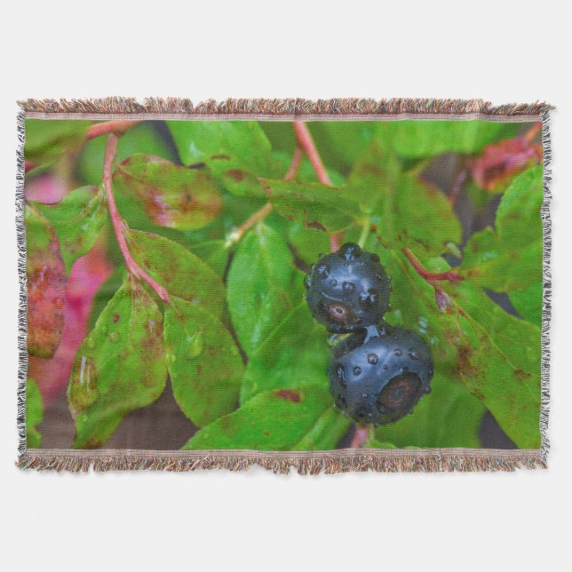 Ripe huckleberries in a light rain throw blanket (Front)
