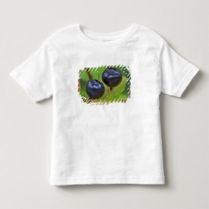 Ripe huckleberries in the Flathead National 2 Toddler T-Shirt