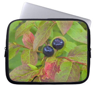 Ripe huckleberries in the Flathead National Laptop Sleeve