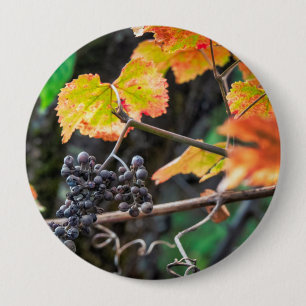 Ripe Isabella grape 10 Cm Round Badge