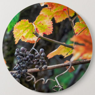 Ripe Isabella grape 6 Cm Round Badge