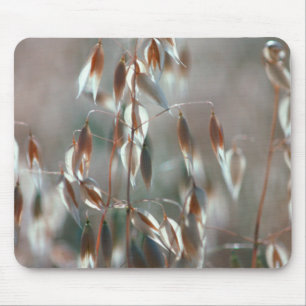 Ripe Oats (Avena Sativa) Close Up. Ceres, Boland Mouse Pad