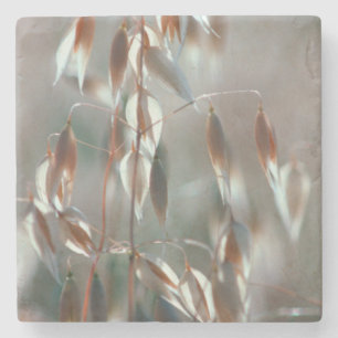 Ripe Oats (Avena Sativa) Close Up. Ceres, Boland Stone Coaster