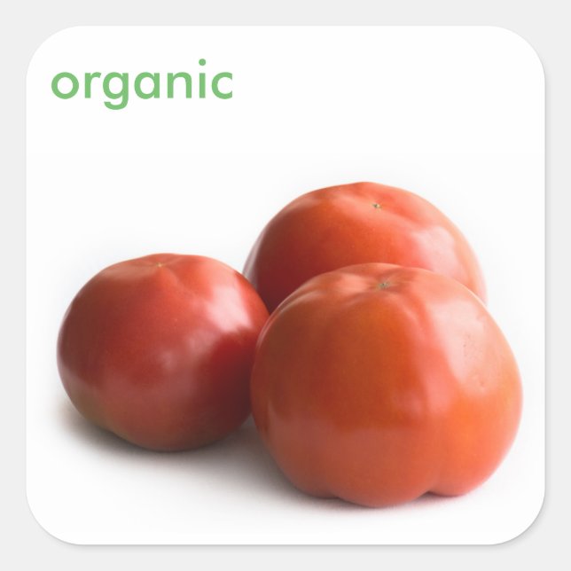 Ripe tomato square sticker (Front)