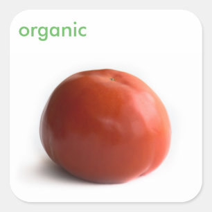 Ripe tomato square sticker