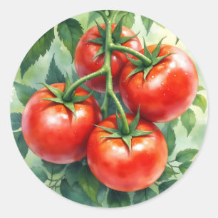 Ripe Tomato Vine Watercolor Fresh Classic Round Sticker