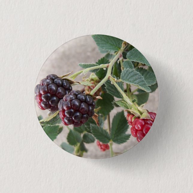 Ripening Blackberries 3 Cm Round Badge (Front)