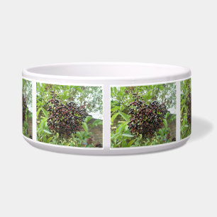 Ripening Elderberries Dog Bowl