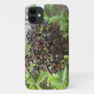 Ripening Elderberries iPhone Case