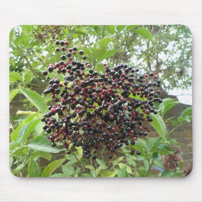 Ripening Elderberries Mousepad (Front)