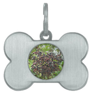Ripening Elderberries Pet Tag
