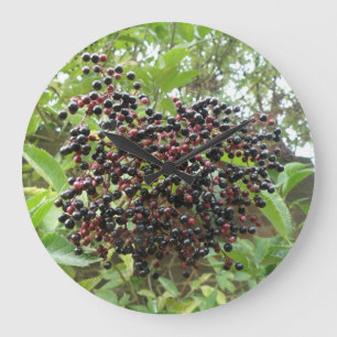 Ripening Elderberries Wall Clock