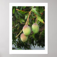 Ripening