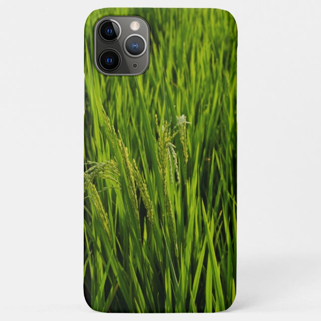 Ripening Rice Case-Mate iPhone Case (Back)