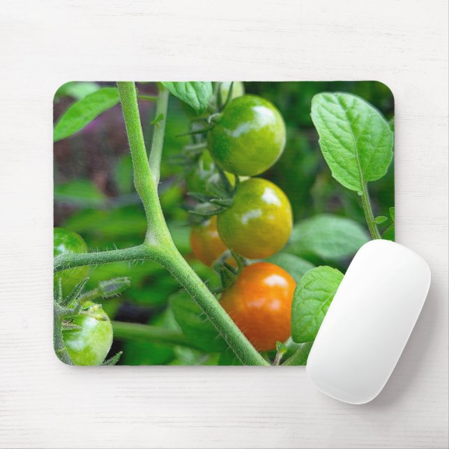 Ripening Stages of Cherry Tomatoes Mouse Pad (With Mouse)