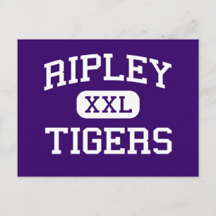 Ripley - Tigers - High School - Ripley Tennessee Postcard