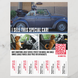 Ripp of Tears Car Selling  Flyer