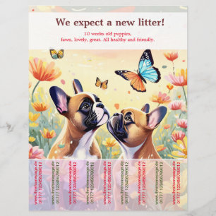 Ripp Off French Bulldog Puppies Flyer