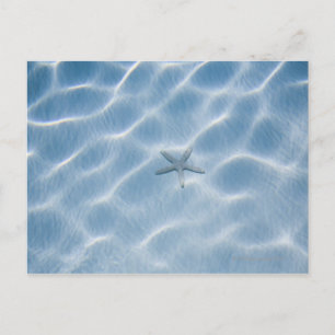 Rippled blue water with starfish postcard