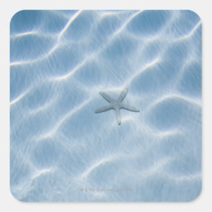 Rippled blue water with starfish square sticker