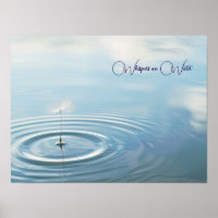 Rippled Reflections: Floating Dandelion Seed