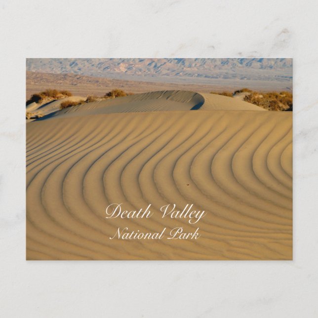 Rippled Sand, Mesquite Flat, Death Valley NP, CA Postcard (Front)