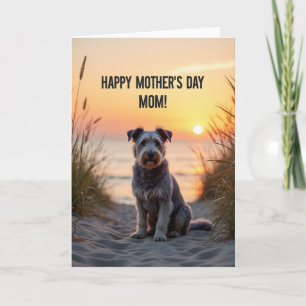 Rippled Sand Sunset Dog Card