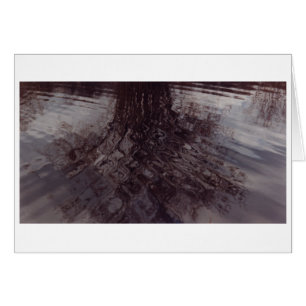 Ripples intersecting in a pond