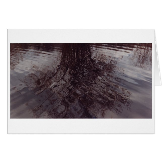 Ripples intersecting in a pond (Front Horizontal)