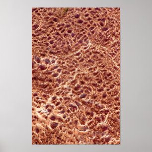 Ripples on Sand Bar Poster