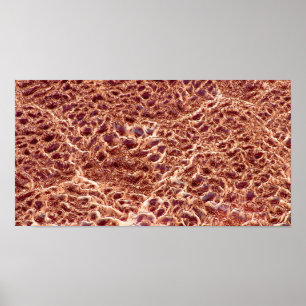 Ripples on Sand Bar with Dried Mud III - Colour Poster