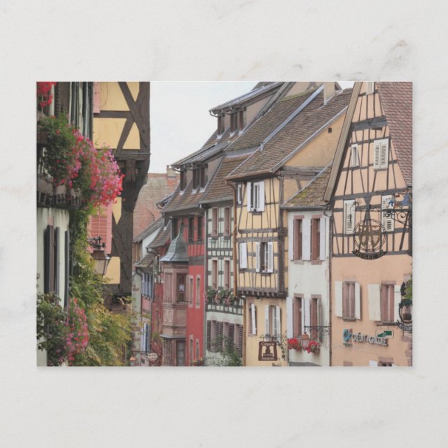 Riquewihr, Alsace, France Postcard (Front)