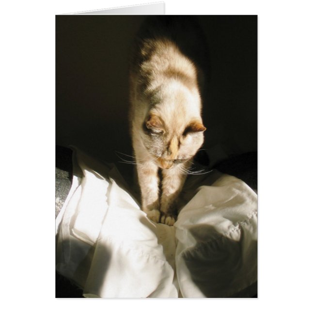 Rise and Shine (Front)