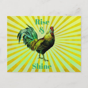 Rise and Shine Postcard