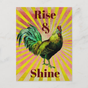 Rise and Shine Postcard