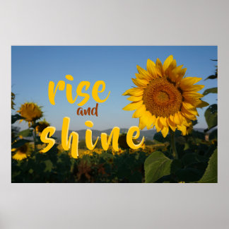 rise and shine sunflower field photo poster