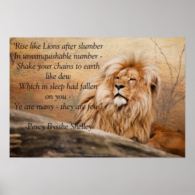 "Rise like Lions" Poster (Front)