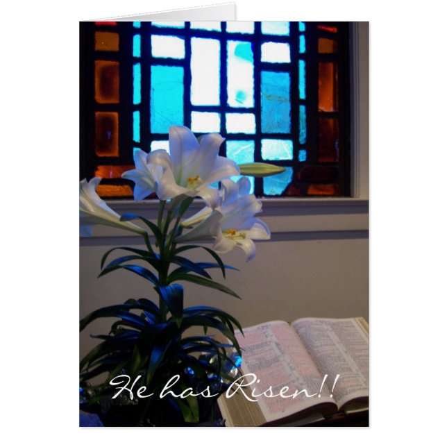 RISEN Easter Lily (Front)