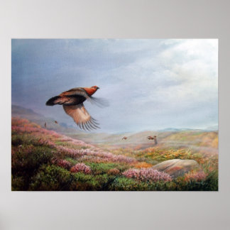 'Rising Grouse'  - print on canvas