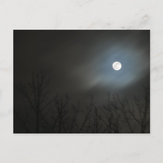 Rising Moon Postcard (Front)