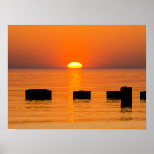 Rising Orange Poster