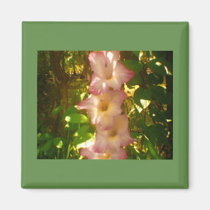 Rising Pink Flower Blooms Magnet