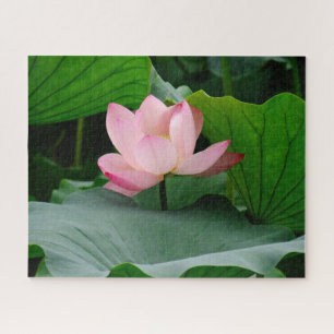 Rising Soul (Light Pink Water Lily) Jigsaw Puzzle
