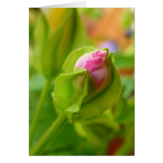 Risk to Blossom Card