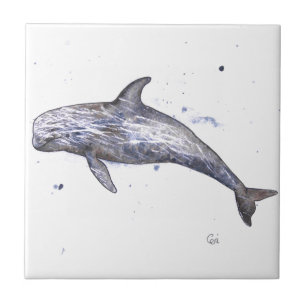 Risso Dolphin Illustration Tile