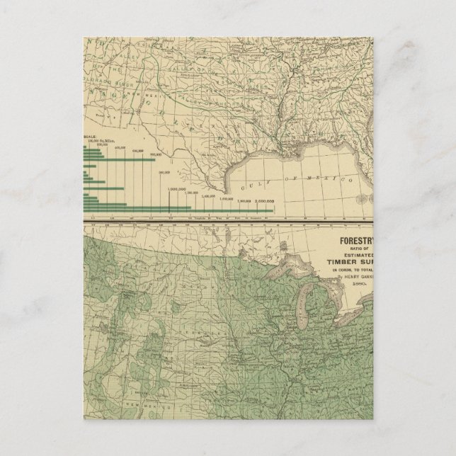 River basins, Forestry Postcard (Front)